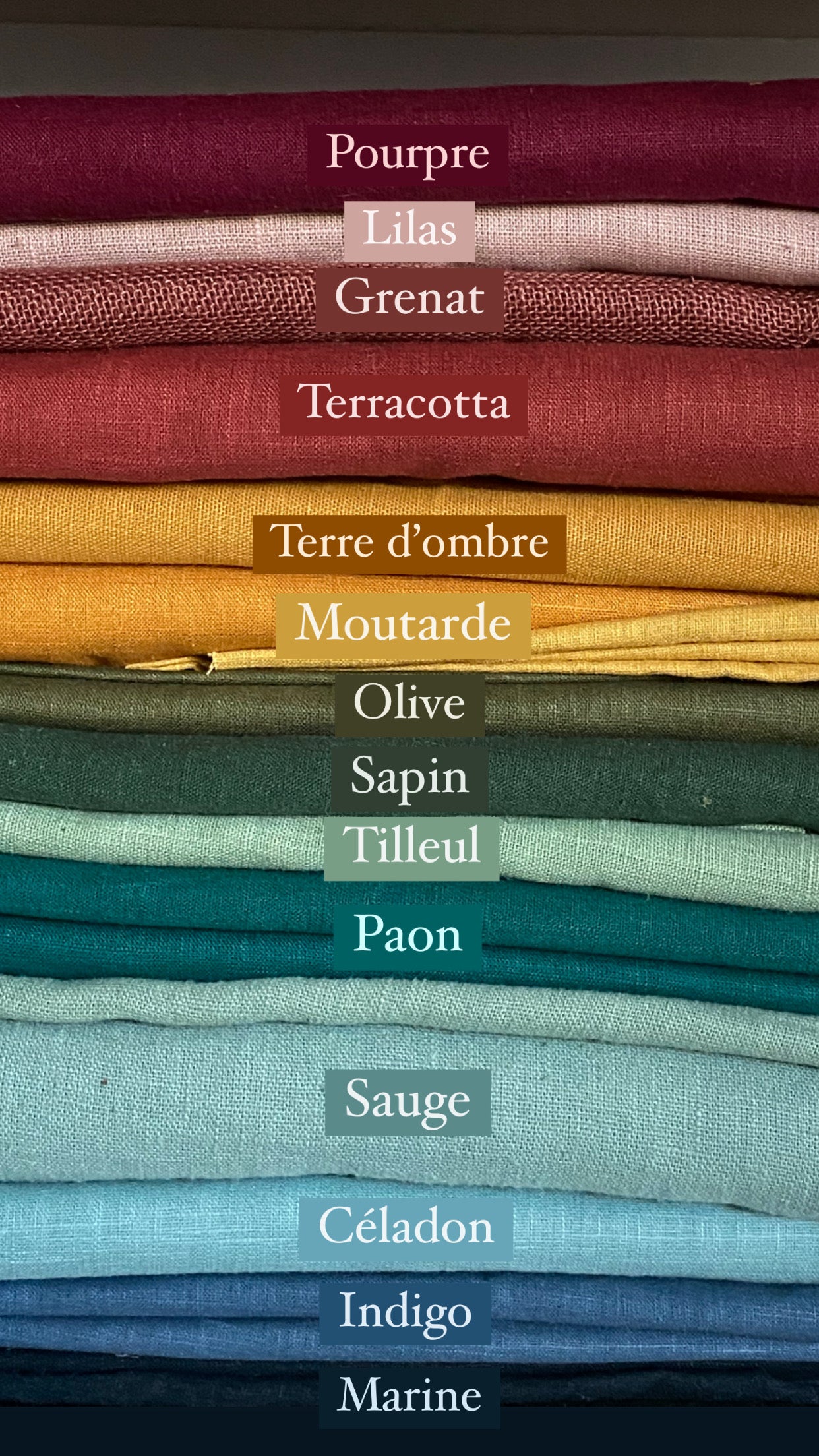 Nouveau set de pétales - Marguerite 70cm